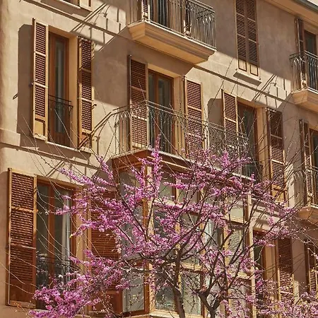 Damunt Hotel Palma de Mallorca